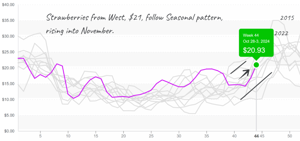 Strawberry-graph-nov4-2024