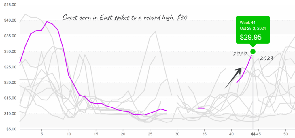 Sweet-corn-graph-nov4-2024