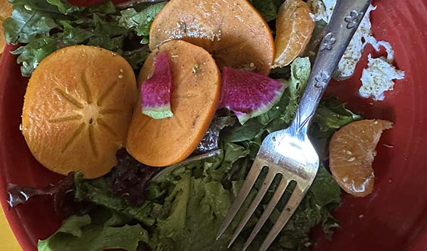 persimmon burrata salad