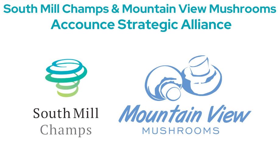 south mill mountain view logos