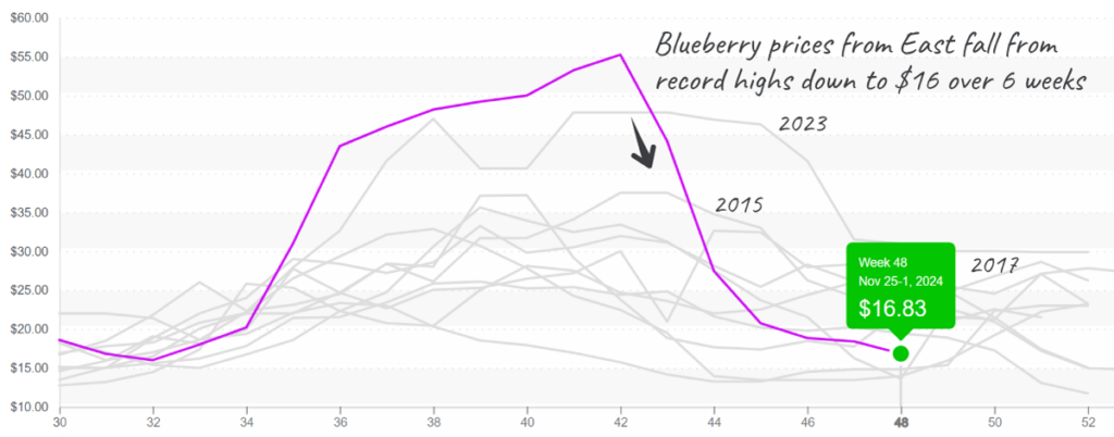 Blueberry-graph-dec2-2024