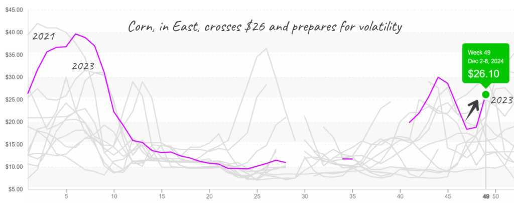 Corn-graph-dec9-2024