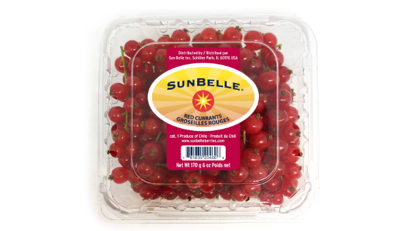 sun belle red currants