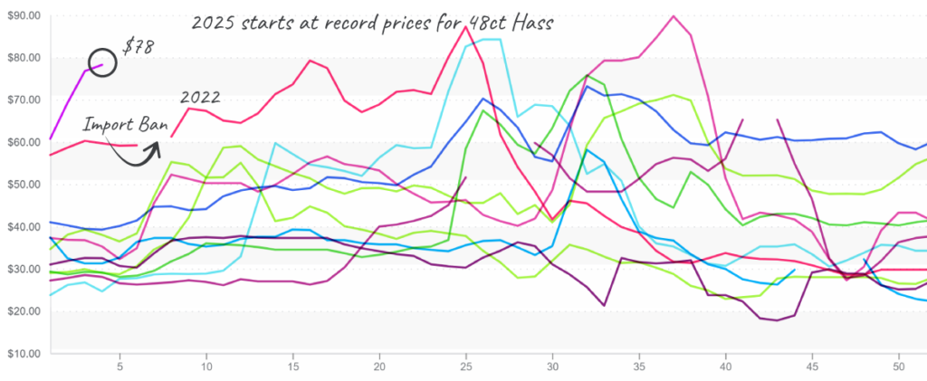 Avocados-graph-jan-27