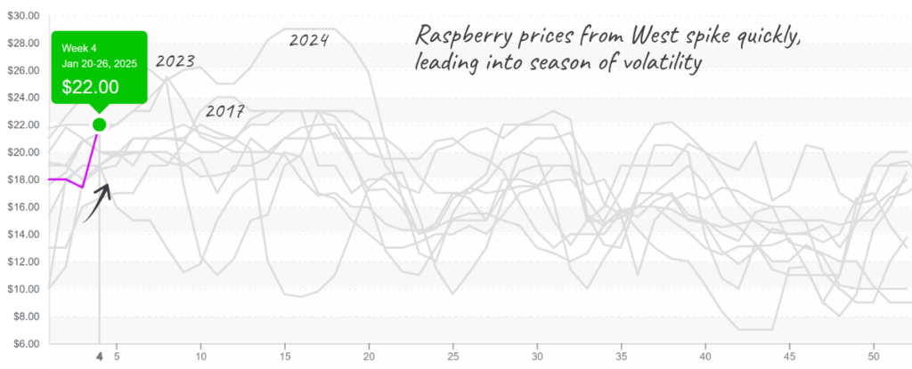 Raspberry-graph-jan-27