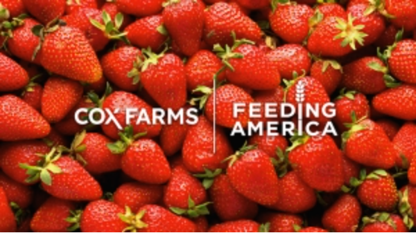 cox farms feeding america