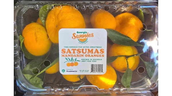 georgia sunnies mandarins