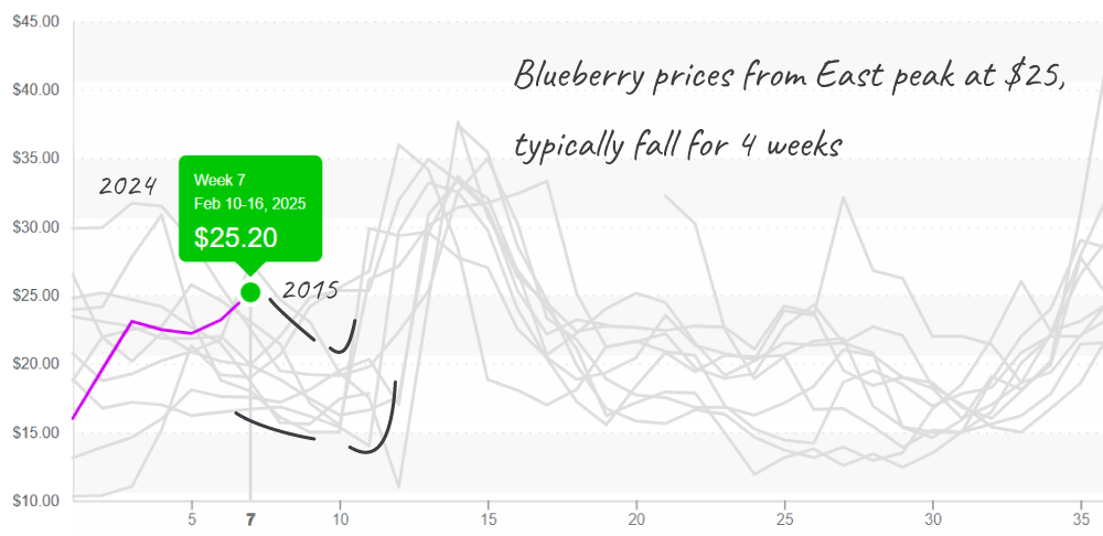 Blueberry-graph-feb17-2025