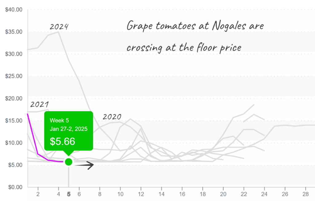 Grape-tomatoes-graph-feb3-2025