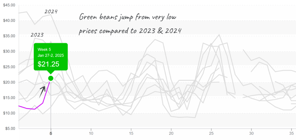 Green-beans-graph-feb3-2025