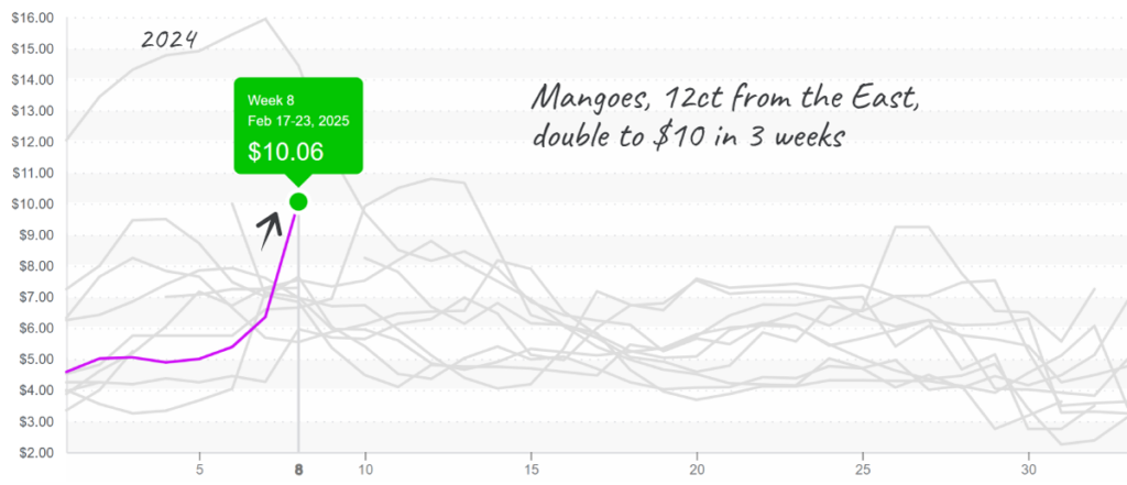 Mangoes-graph-feb24-2025