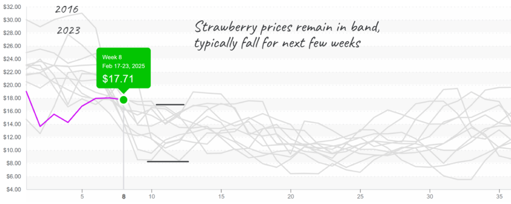 Strawberry-graph-feb24-2025