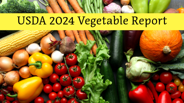 usda veg report 2024