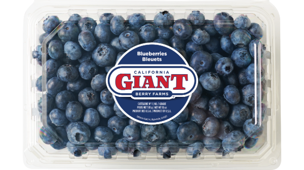 california giant blueberries