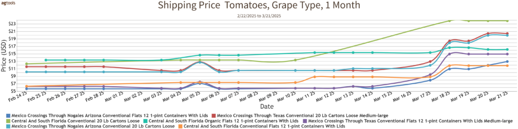 grapetomato 032425