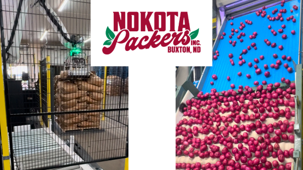 nokota packers