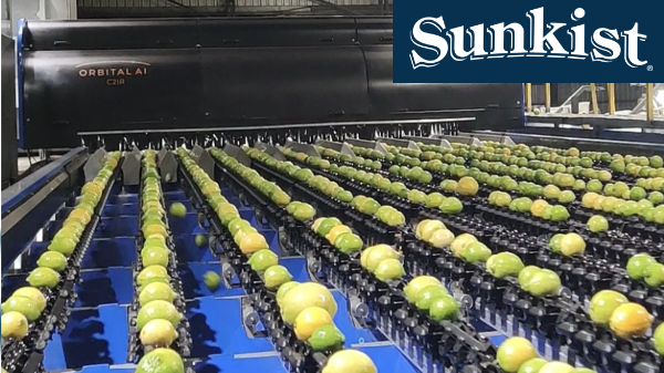 sunkist packing line